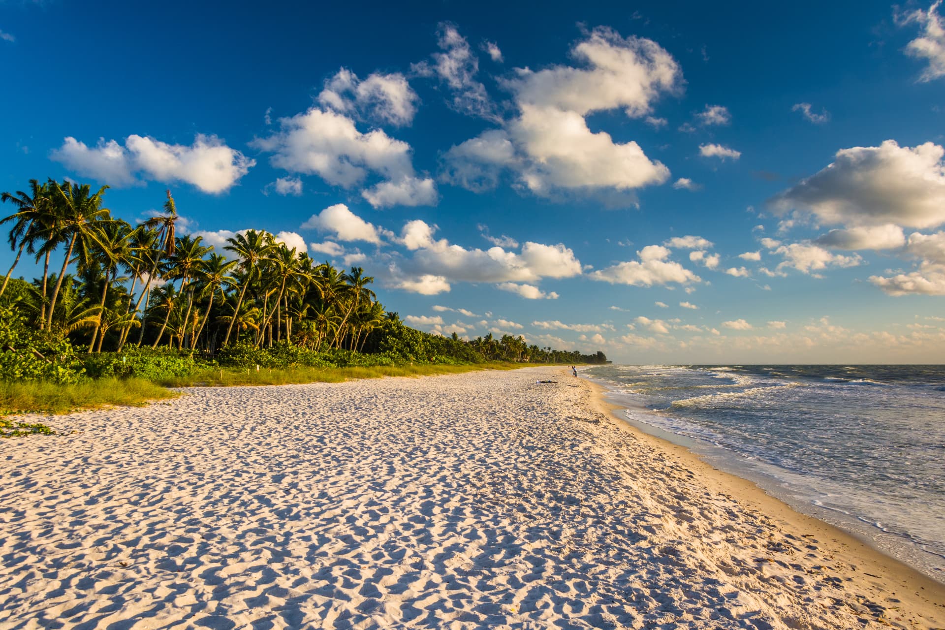 Palm-lined Naples beach with white sand and Gulf waves in evening light