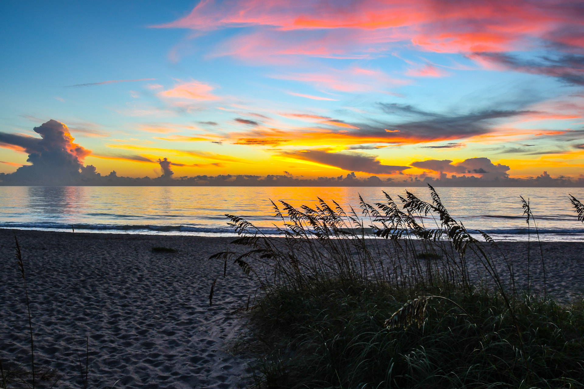 Tropical Gulf Coast shoreline