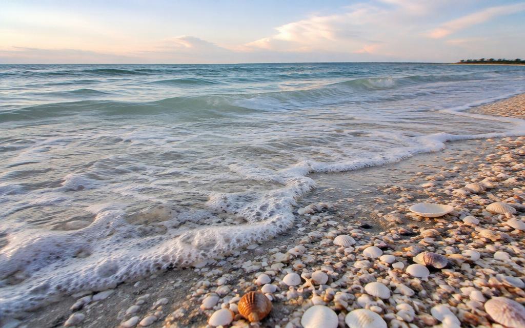 Waves washing over a shell-covered shoreline