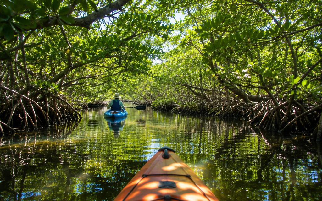 Planning a visit to Marco Island, Florida
